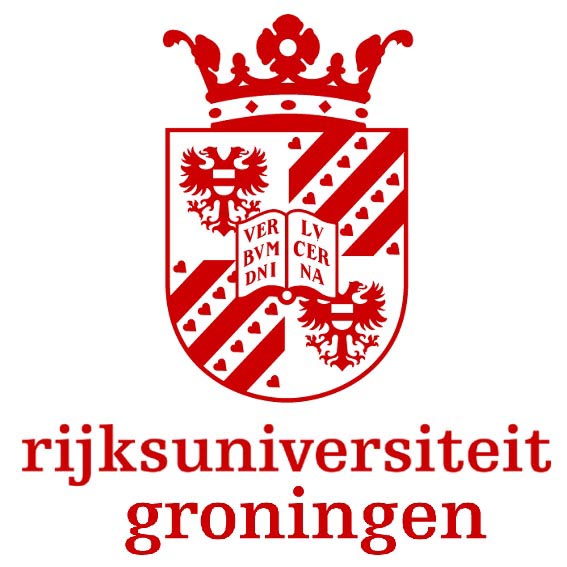 logo rug